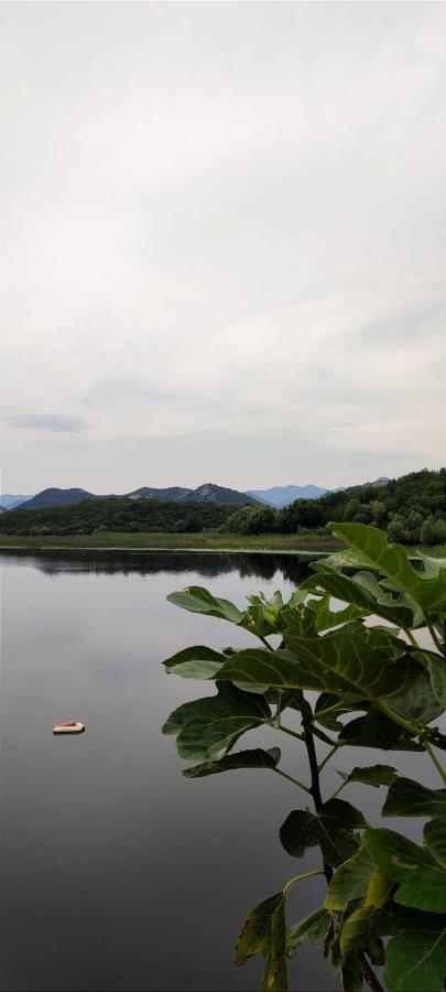 Old House, Skadar Lake سيتينيي المظهر الخارجي الصورة