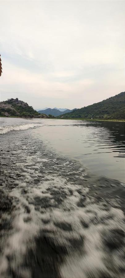 Old House, Skadar Lake سيتينيي المظهر الخارجي الصورة