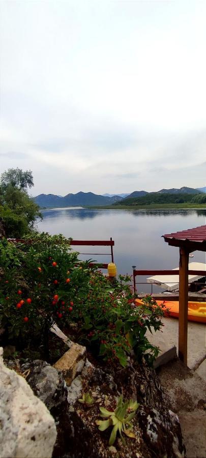 Old House, Skadar Lake سيتينيي المظهر الخارجي الصورة