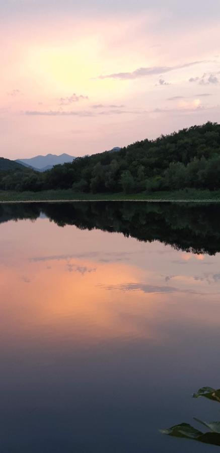 Old House, Skadar Lake سيتينيي المظهر الخارجي الصورة