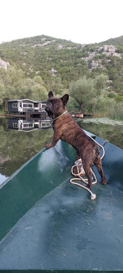 Old House, Skadar Lake سيتينيي المظهر الخارجي الصورة