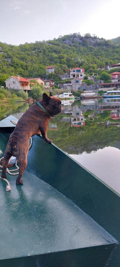 Old House, Skadar Lake سيتينيي المظهر الخارجي الصورة