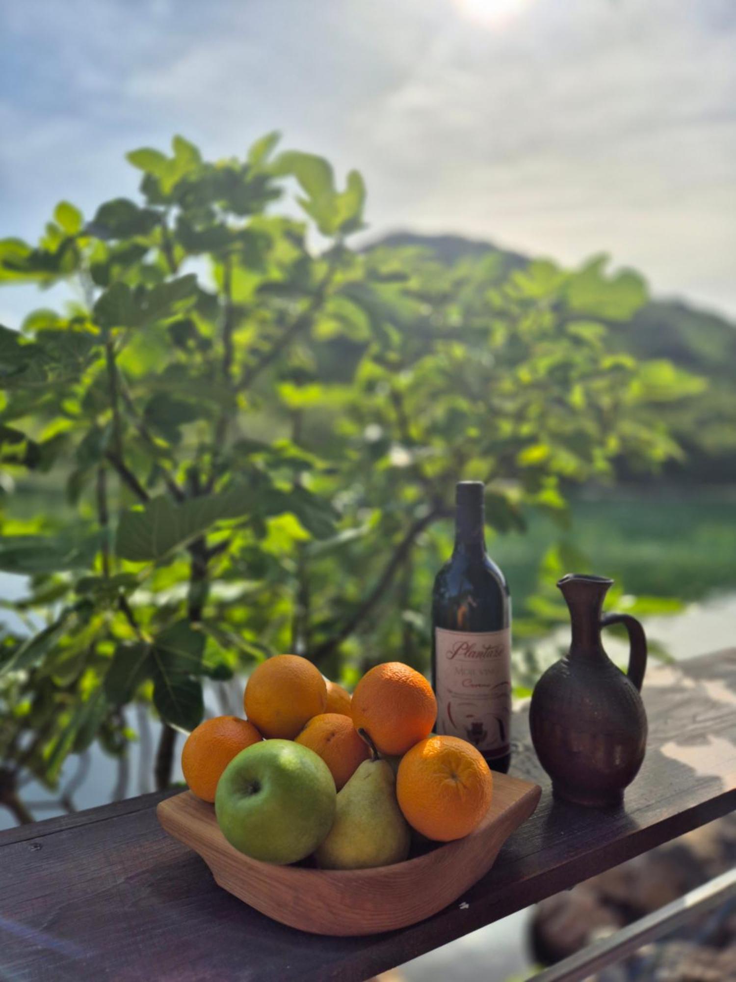 Old House, Skadar Lake سيتينيي المظهر الخارجي الصورة