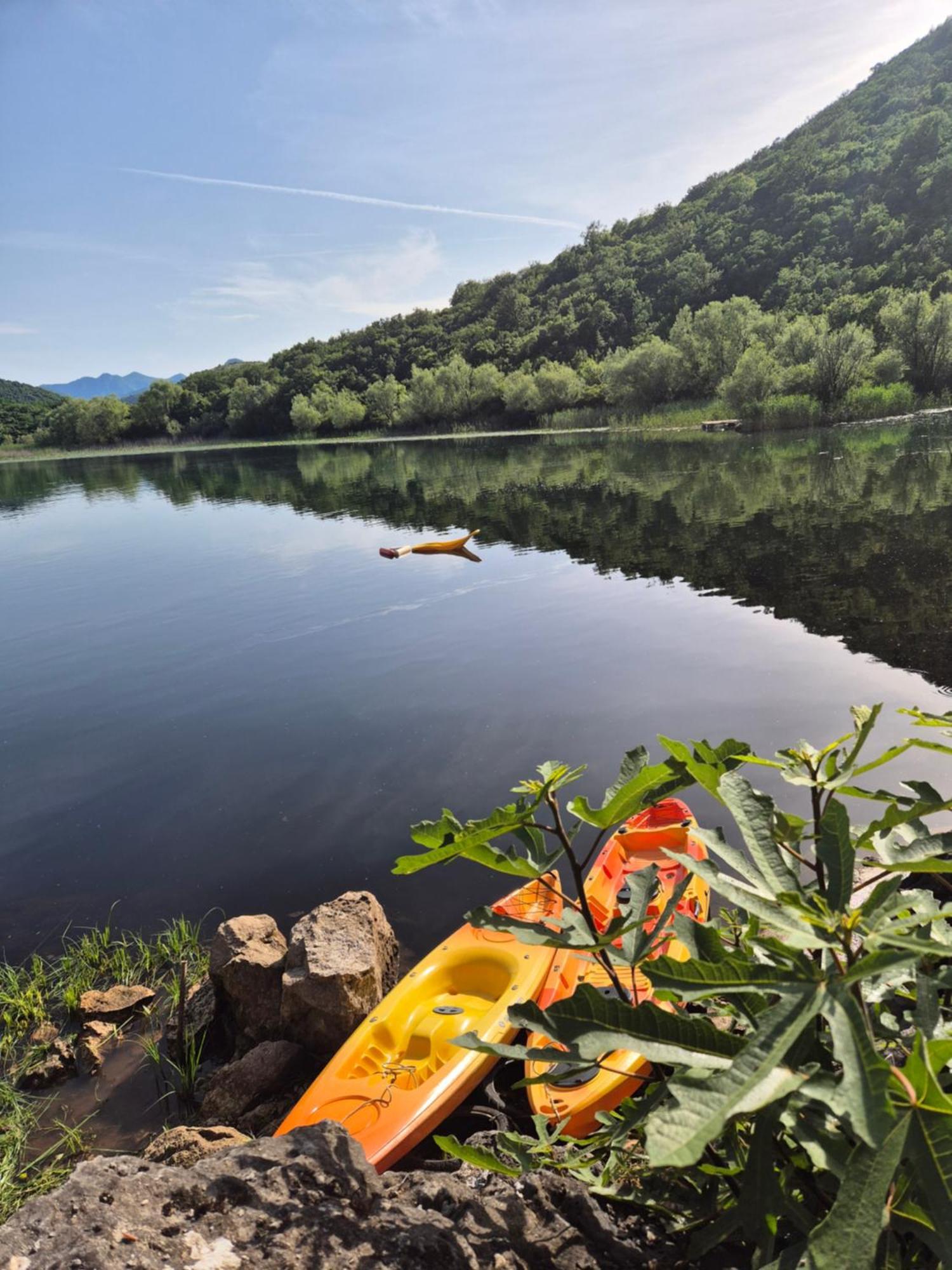 Old House, Skadar Lake سيتينيي المظهر الخارجي الصورة